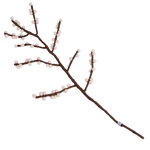 Branch with red berries - wool felt - handmade