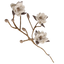 Magnolienzweig aus Wollfilz weiß - handgearbeitet