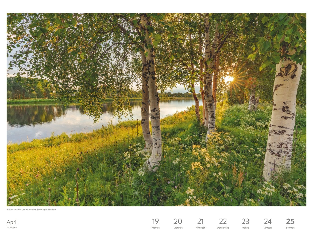 Zauber des Nordens - Wochenkalender 2027 - 39 x 30 cm - Harenberg