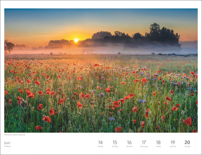 Zauber des Nordens - Wochenkalender 2027 - 39 x 30 cm - Harenberg
