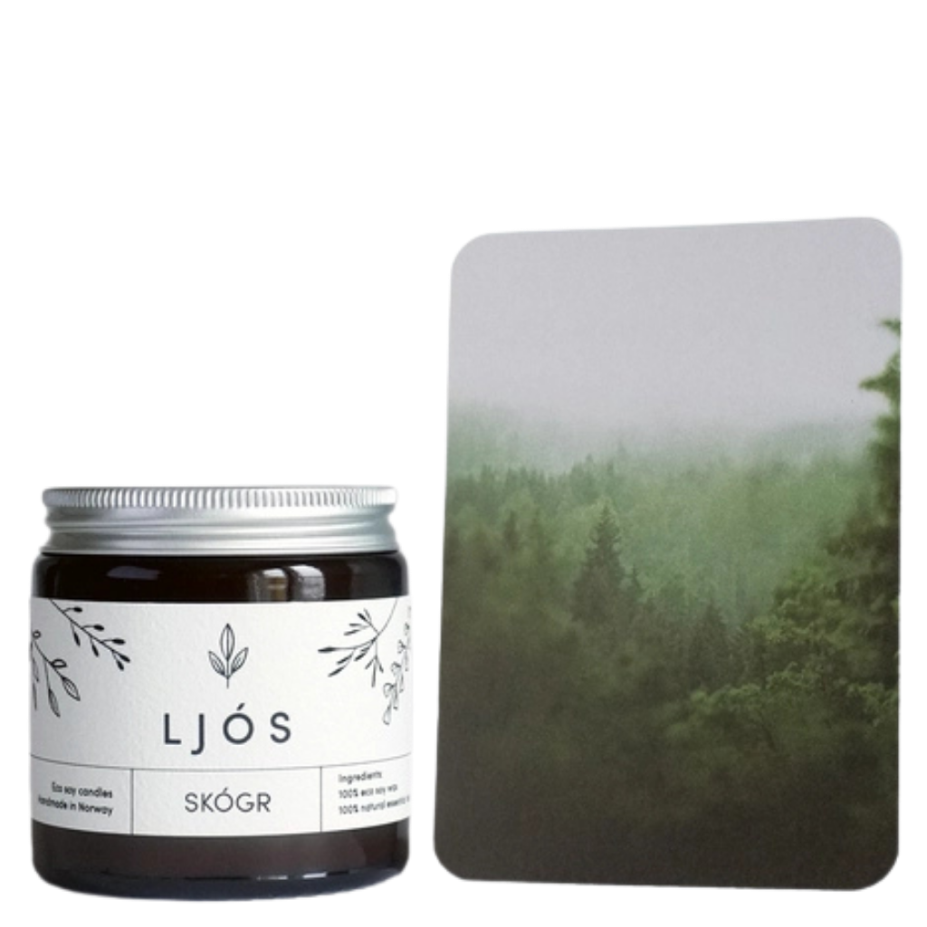 SKÓGR – Duftkerze aus Bio-Sojawachs im Glas – 100 g