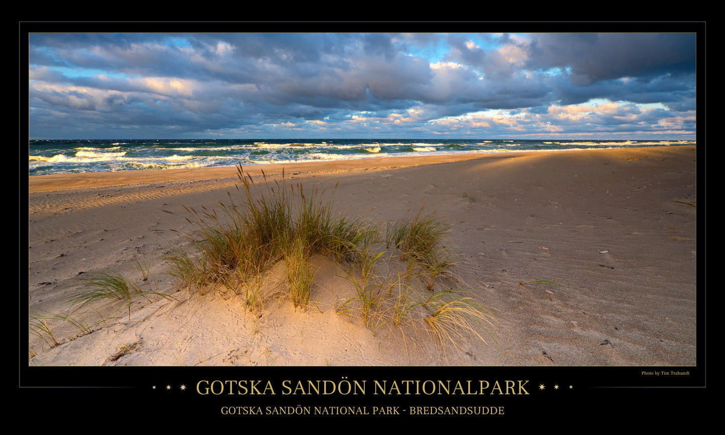 Gotska-Sandön evening light - Poster 97 x 57 cm