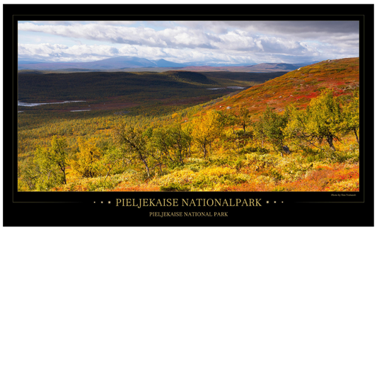 Pieljekaise valley view - Poster 97 x 57 cm