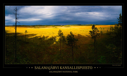 Salamajärvi storm front - Poster 97 x 57 cm