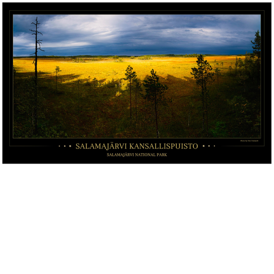 Salamajärvi storm front - Poster 97 x 57 cm