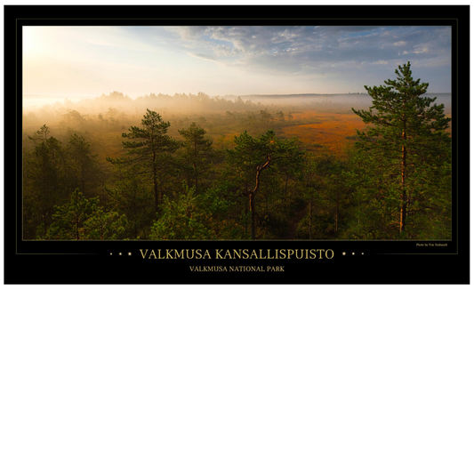 Valkmusa morning fog - Poster 97 x 57 cm