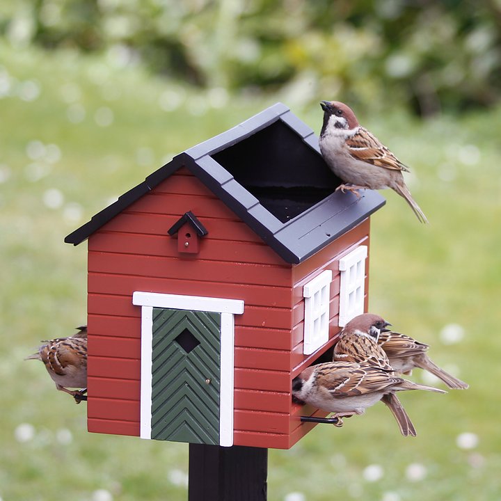 Vogelfutterspender mit Bad und Tränke - Rotes Haus