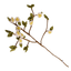 Apfelblüten-Zweig - Wollfilz - handgearbeitet