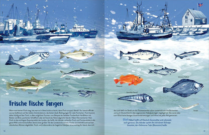 Island - Illustriertes Kinderbuch