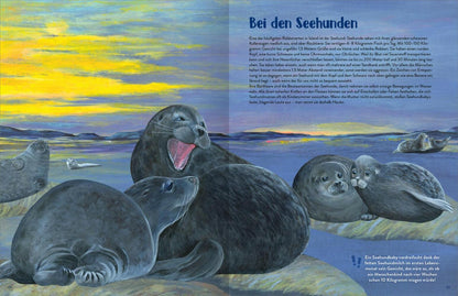 Island - Illustriertes Kinderbuch